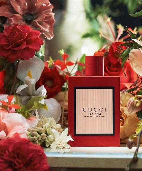 gucci in bloom music|gucci blooms collection.